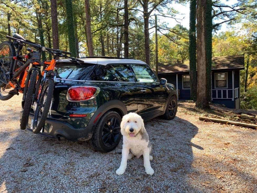 Loblolly Pines Adventure Cabin 2 King Юрека Спрингс Екстериор снимка