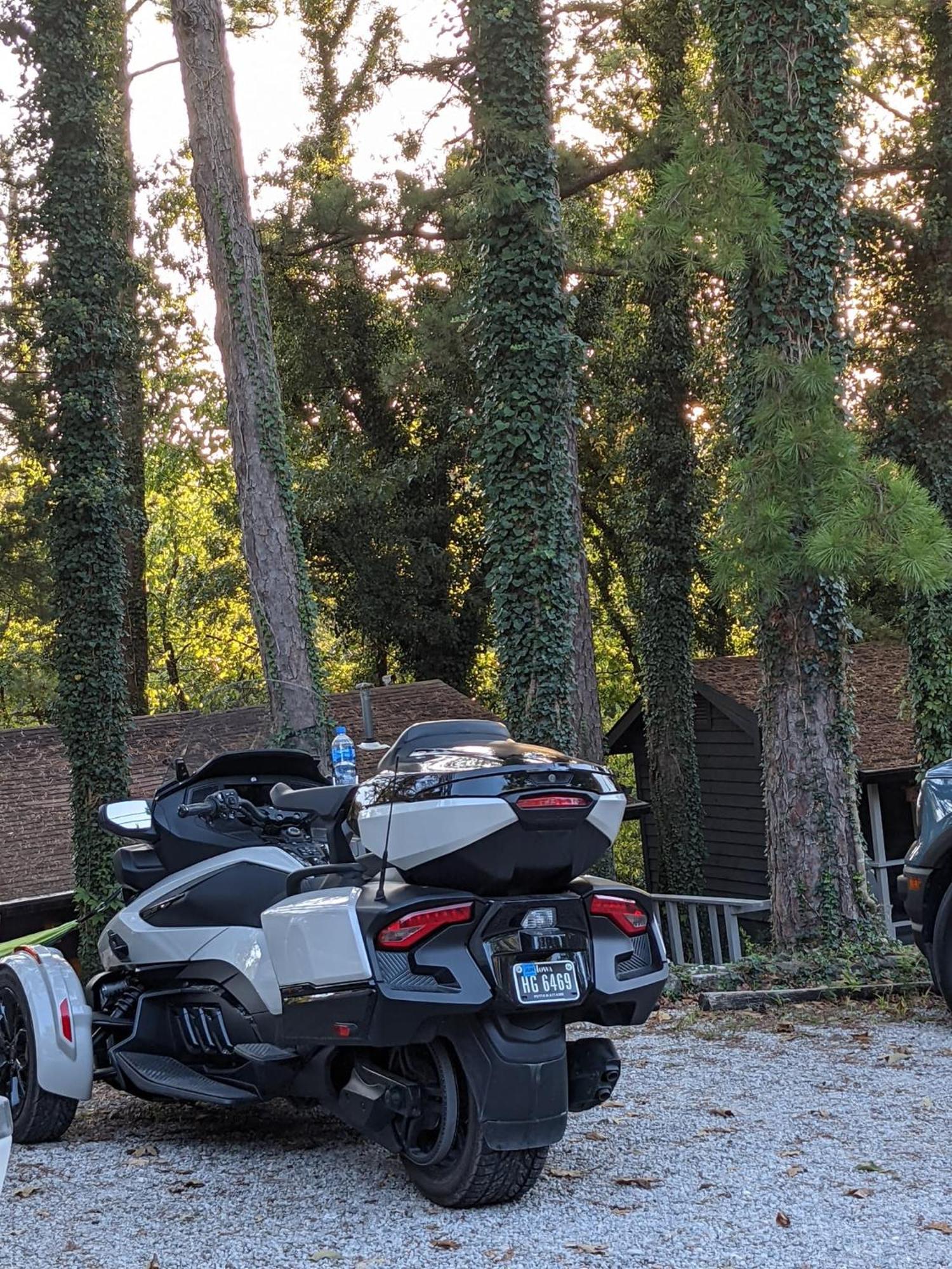 Loblolly Pines Adventure Cabin 2 King Юрека Спрингс Екстериор снимка